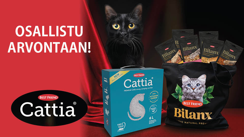 Minimani Yhtiöt Oy